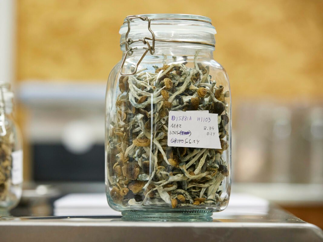 Buy Featured Special 'Half Oz' Magic Mushrooms