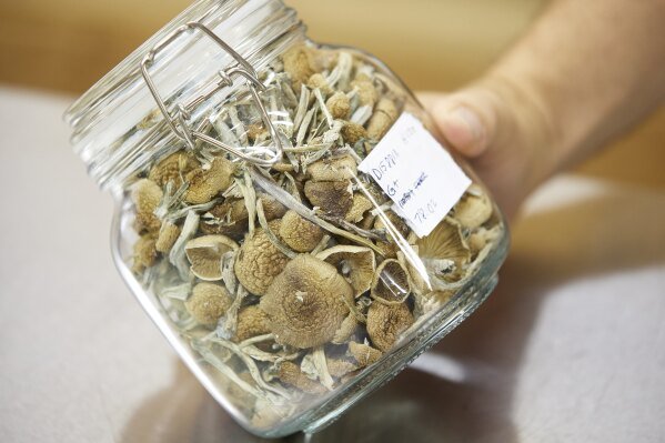 Featured Special 'Oz' Magic Mushrooms
