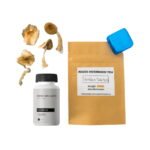 First Timer Magic Mushroom Kit: Psych 101 - An Introduction to Psychedelics