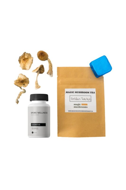 First Timer Magic Mushroom Kit: Psych 101 - An Introduction to Psychedelics